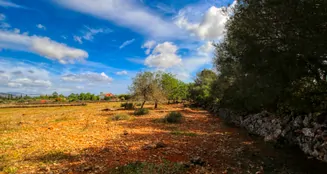 von_poll_real_estate_property_ES243744945_image_25