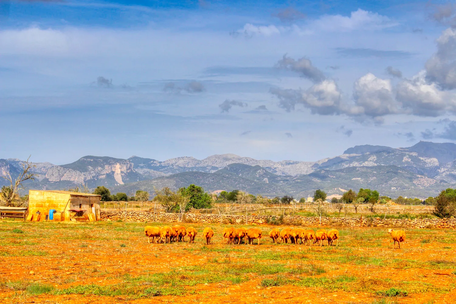 En-venta-fantástica-finca-en-zona-muy-tranquila-cerca-de-Costitx-Inca