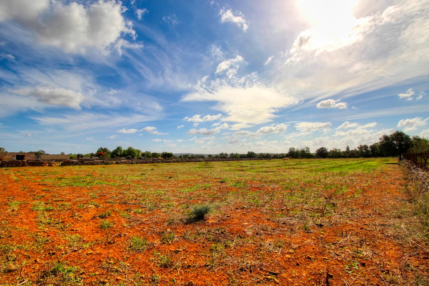 En-venta-fantástica-finca-en-zona-muy-tranquila-cerca-de-Costitx-Inca
