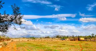 von_poll_real_estate_property_ES243744945_image_24