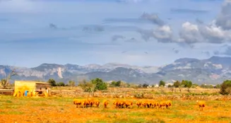 von_poll_real_estate_property_ES243744945_image_19