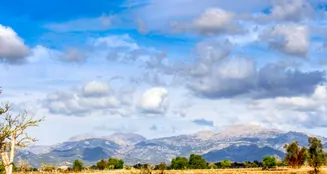 von_poll_real_estate_property_ES243744962_image_0