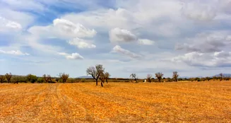 von_poll_real_estate_property_ES243744962_image_9