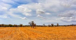 von_poll_real_estate_property_ES243744962_image_9