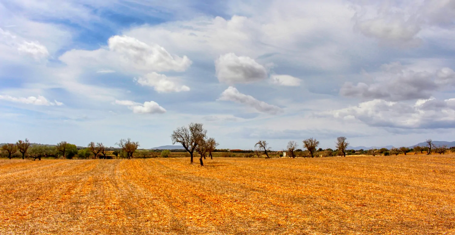 Zu-verkaufen-fantastische-Finca-in-sehr-ruhiger-Lage-bei-Costitx-Inca