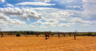 von_poll_real_estate_property_ES243744962_image_8