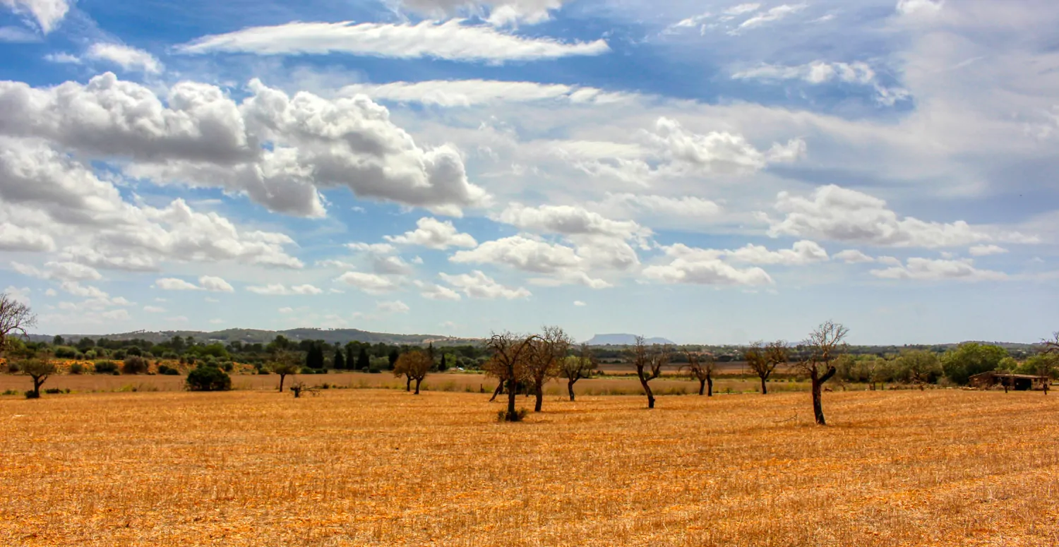 Zu-verkaufen-fantastische-Finca-in-sehr-ruhiger-Lage-bei-Costitx-Inca