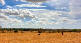 von_poll_real_estate_property_ES243744962_image_8