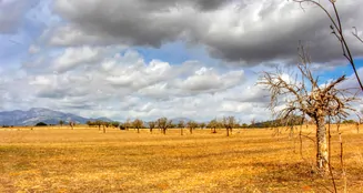 von_poll_real_estate_property_ES243744962_image_2