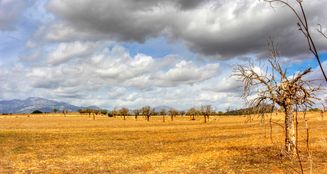 von_poll_real_estate_property_ES243744962_image_2
