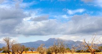 von_poll_real_estate_property_ES243744962_image_1