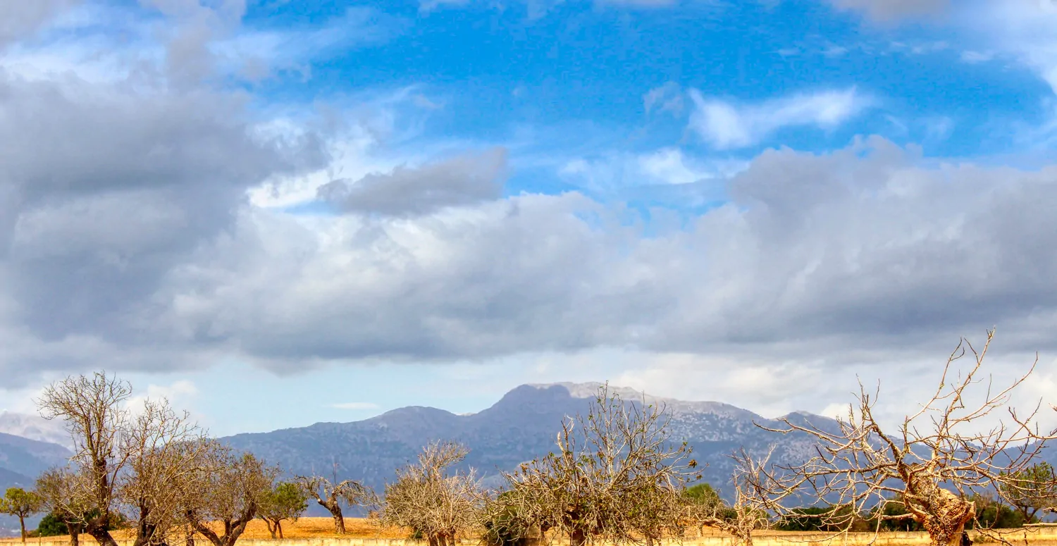 Zu-verkaufen-fantastische-Finca-in-sehr-ruhiger-Lage-bei-Costitx-Inca