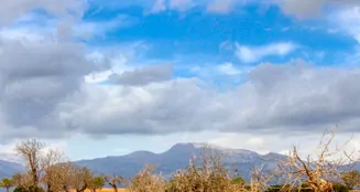 von_poll_real_estate_property_ES243744962_image_1