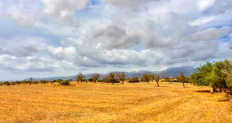 von_poll_real_estate_property_ES243744962_image_4