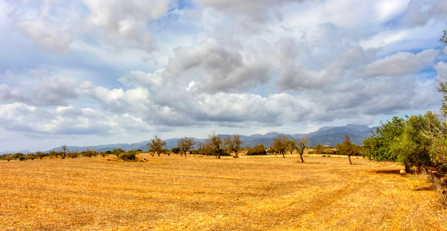 Zu-verkaufen-fantastische-Finca-in-sehr-ruhiger-Lage-bei-Costitx-Inca