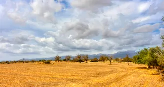 von_poll_real_estate_property_ES243744962_image_4