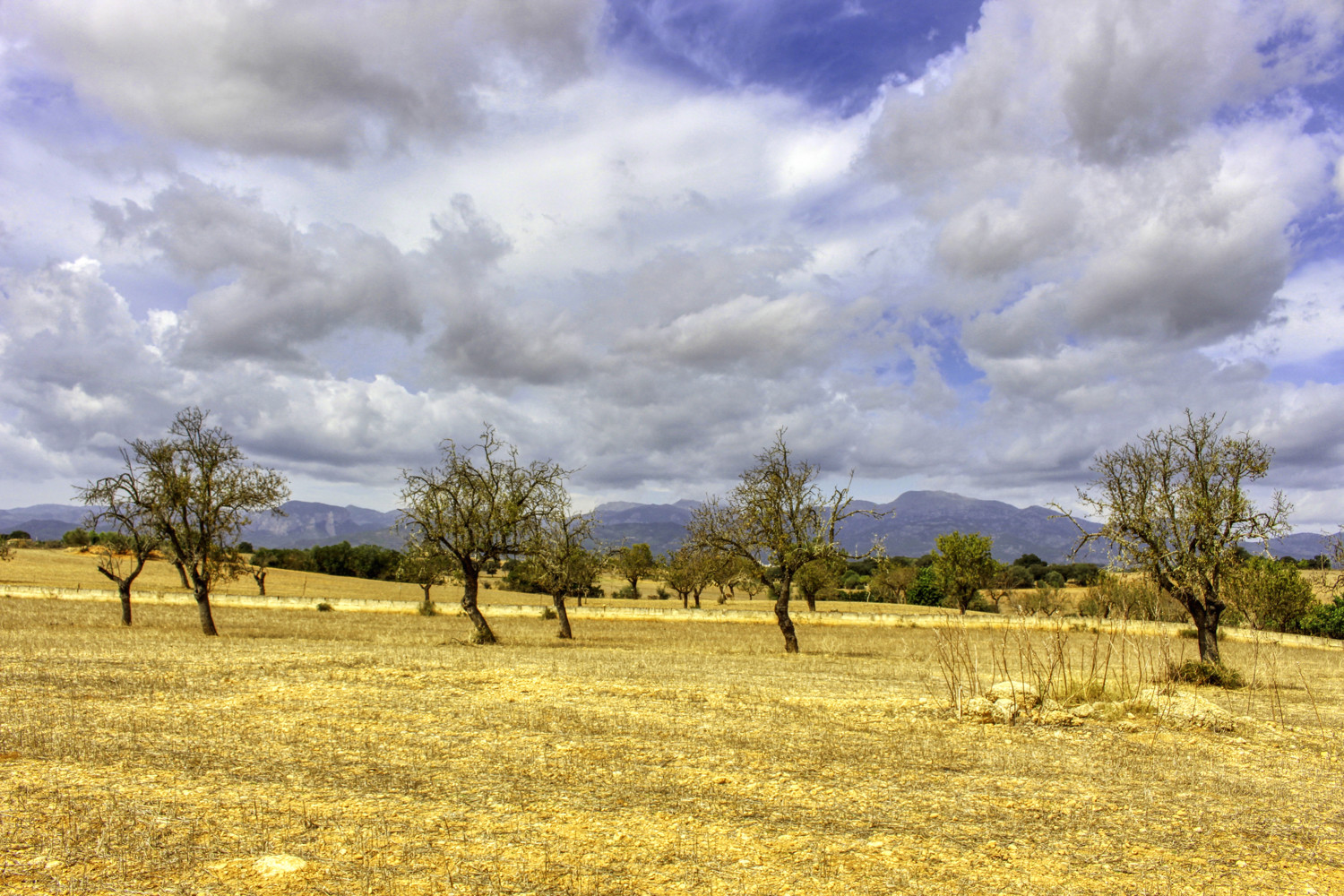 Zu-verkaufen-fantastische-Finca-in-sehr-ruhiger-Lage-bei-Costitx-Inca