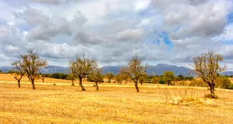 von_poll_real_estate_property_ES243744962_image_6