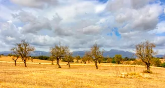 von_poll_real_estate_property_ES243744962_image_6