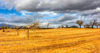 von_poll_real_estate_property_ES243744962_image_7