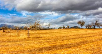 von_poll_real_estate_property_ES243744962_image_7