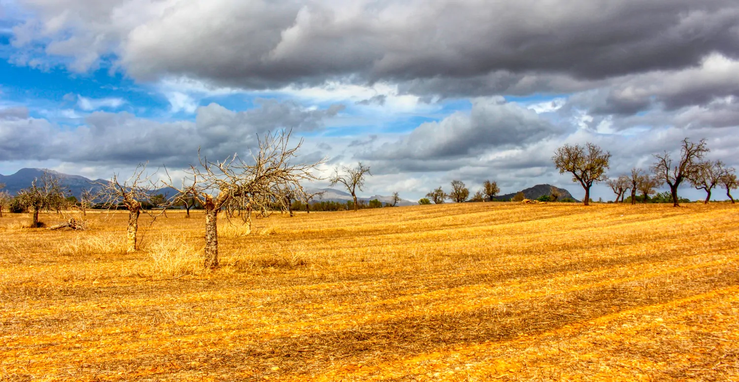 Zu-verkaufen-fantastische-Finca-in-sehr-ruhiger-Lage-bei-Costitx-Inca