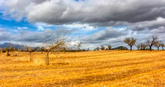 von_poll_real_estate_property_ES243744962_image_7