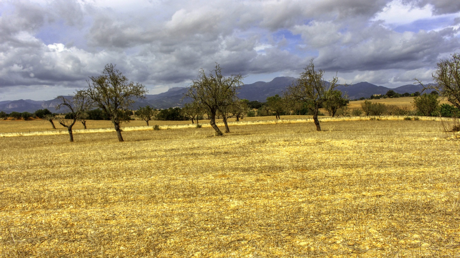 Zu-verkaufen-fantastische-Finca-in-sehr-ruhiger-Lage-bei-Costitx-Inca