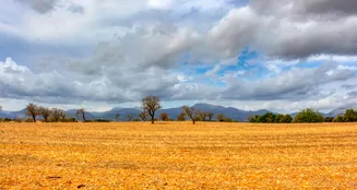 von_poll_real_estate_property_ES243744962_image_5