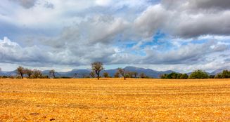 von_poll_real_estate_property_ES243744962_image_5