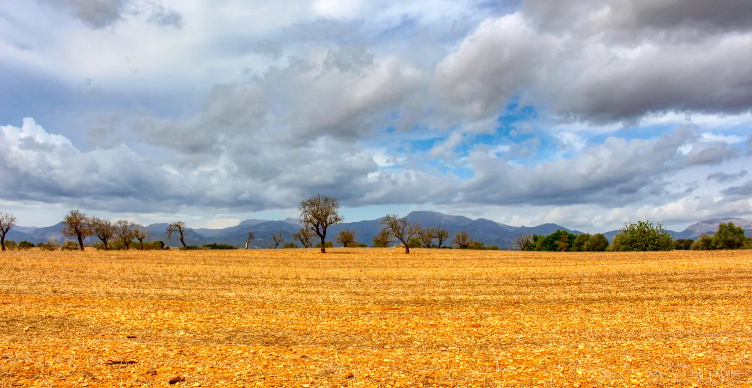 Zu-verkaufen-fantastische-Finca-in-sehr-ruhiger-Lage-bei-Costitx-Inca