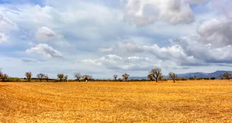 von_poll_real_estate_property_ES243744962_image_3