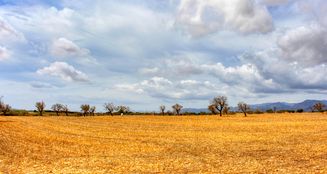 von_poll_real_estate_property_ES243744962_image_3