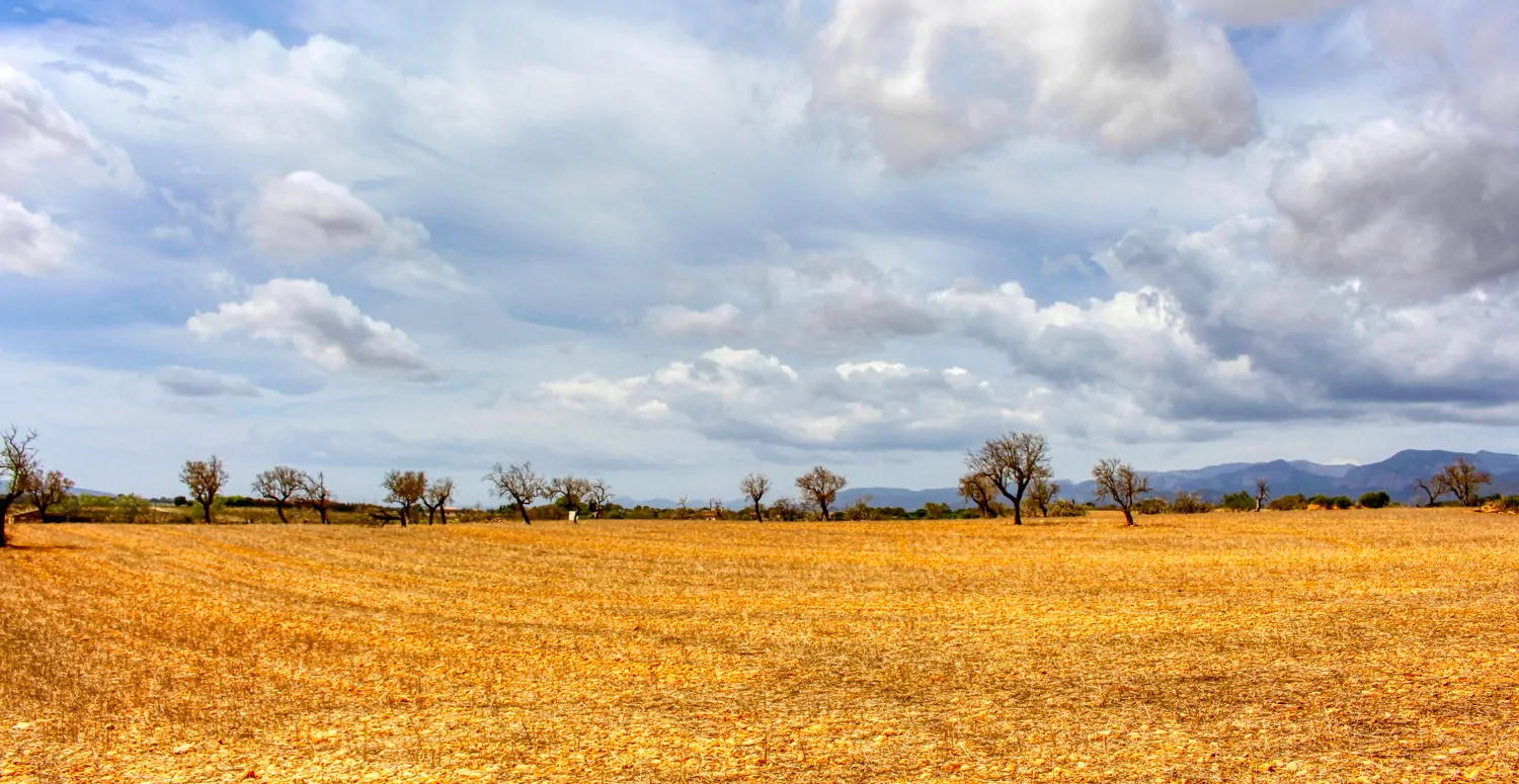 Zu-verkaufen-fantastische-Finca-in-sehr-ruhiger-Lage-bei-Costitx-Inca