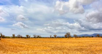 von_poll_real_estate_property_ES243744962_image_3