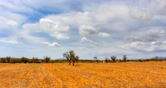 von_poll_real_estate_property_ES243744962_image_20