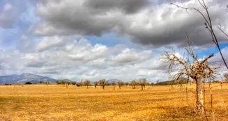 von_poll_real_estate_property_ES243744962_image_13