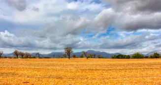 von_poll_real_estate_property_ES243744962_image_16