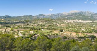 von_poll_real_estate_property_ES243744981_image_16