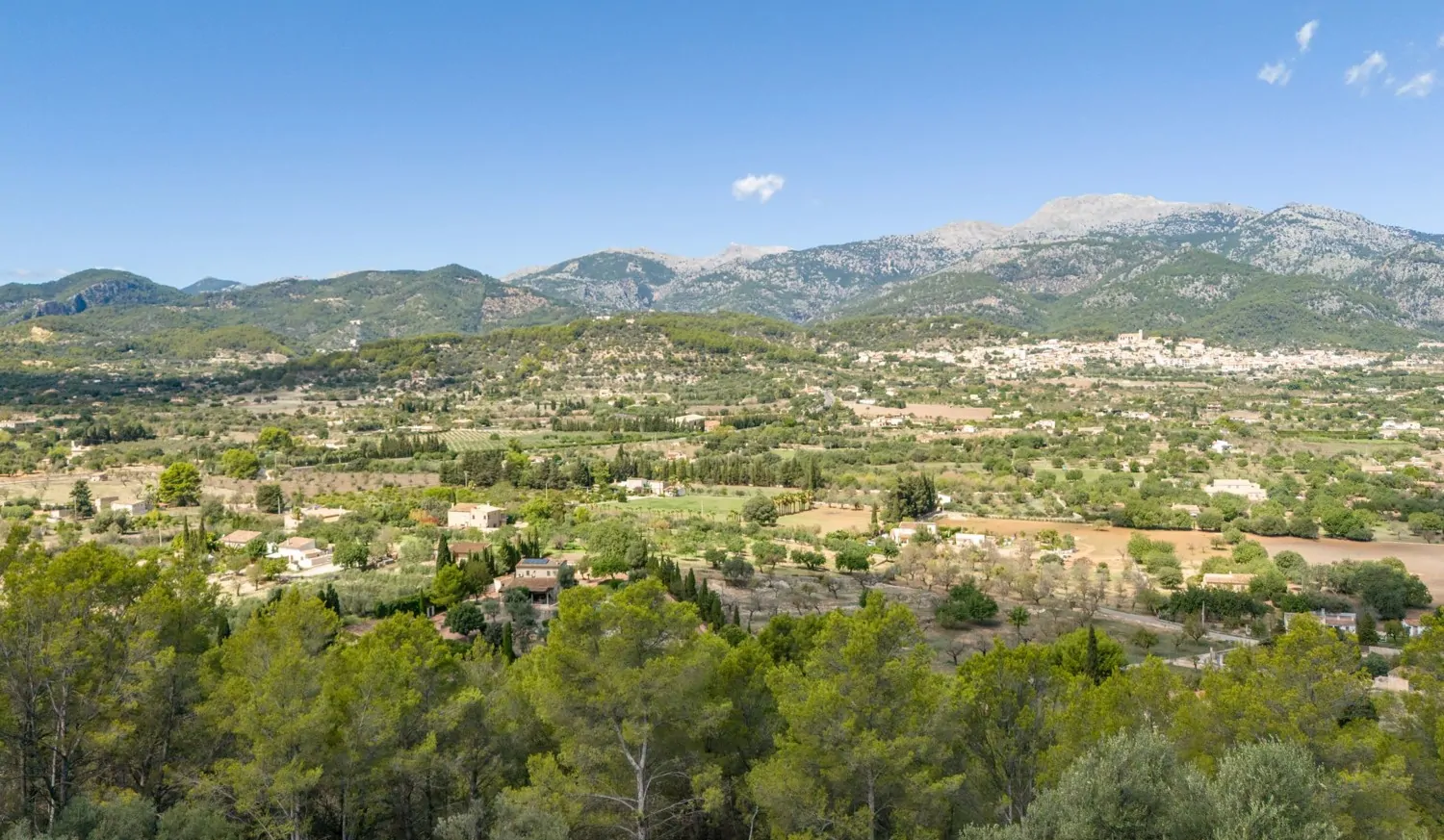 DJI_20240909121244_0607_D