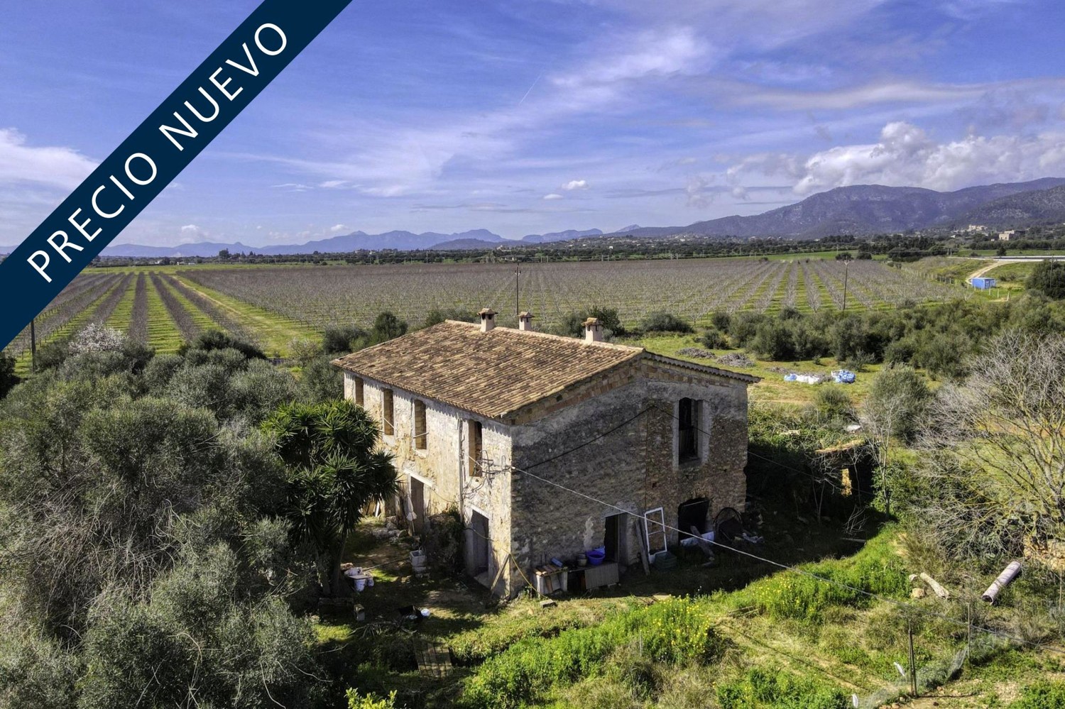 FINCA-CONSELL