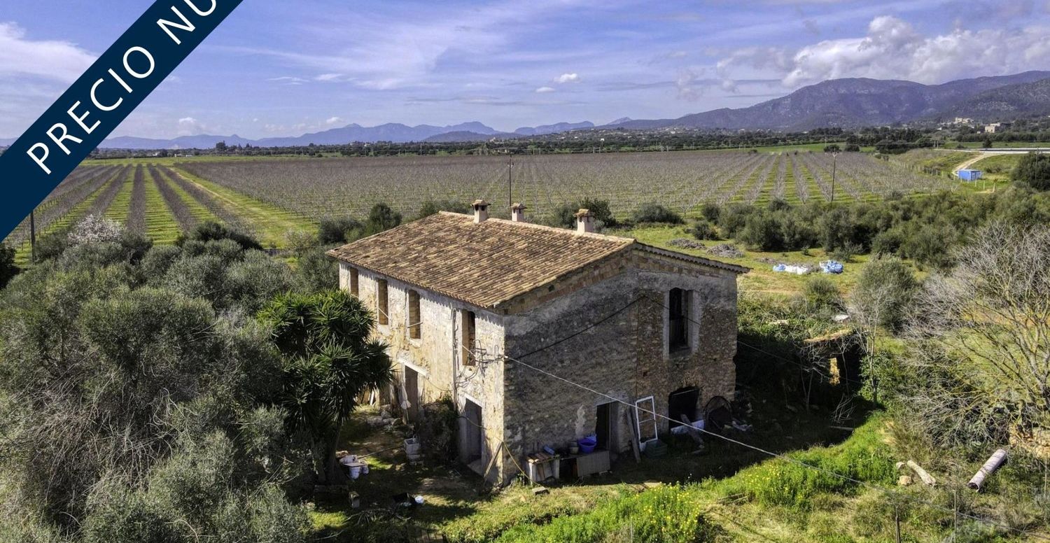 FINCA-CONSELL