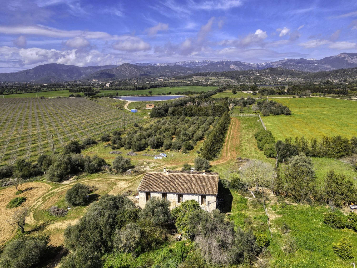 FINCA-CONSELL
