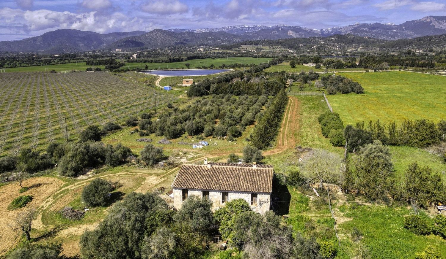 FINCA-CONSELL