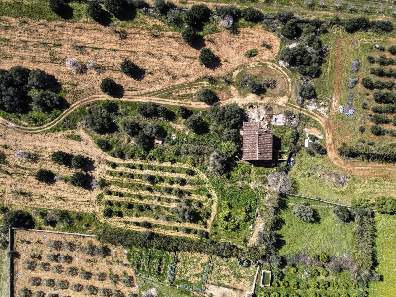 FINCA-CONSELL