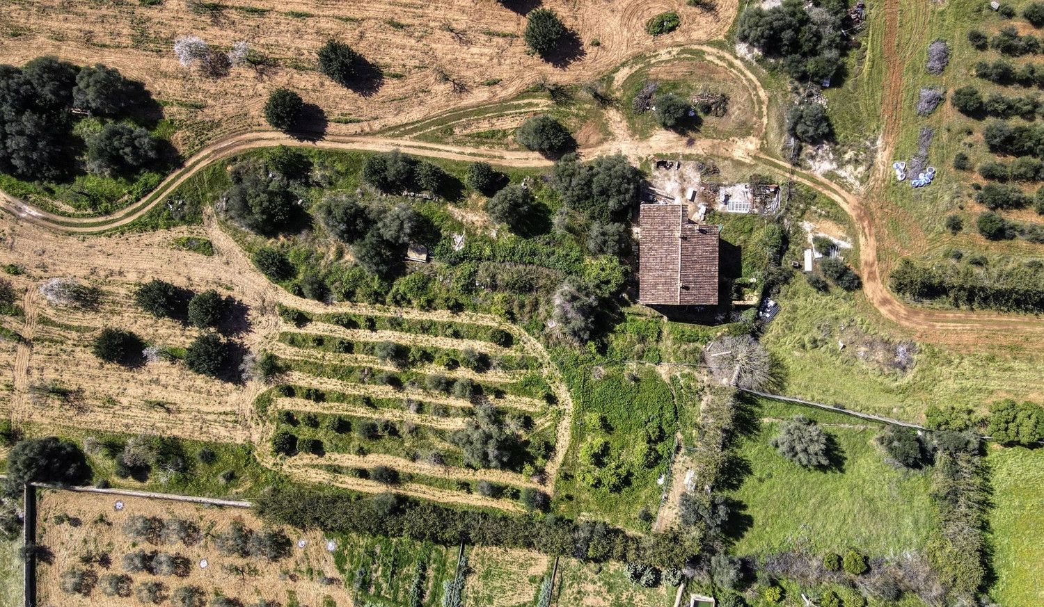 FINCA-CONSELL