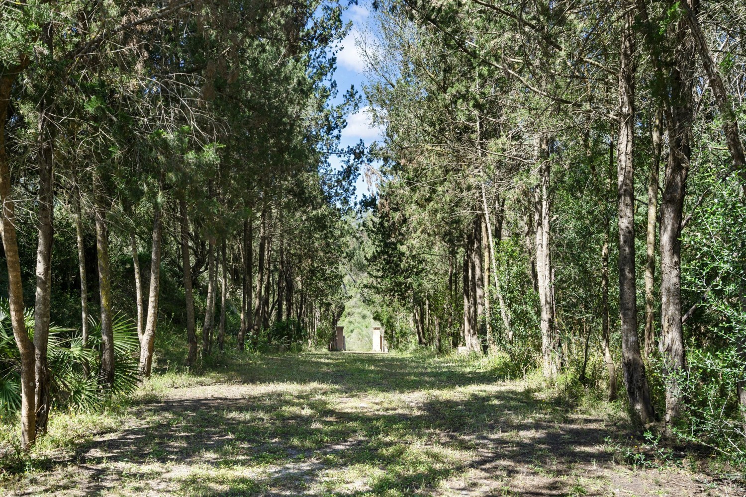 Casa-señoral-Sineu
