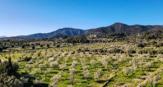 von_poll_real_estate_property_ES243745077_image_18