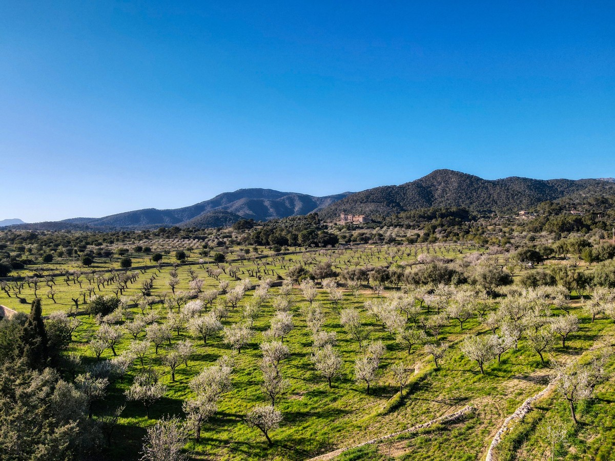 Finca-Alaró