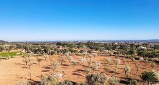 von_poll_real_estate_property_ES243745077_image_19